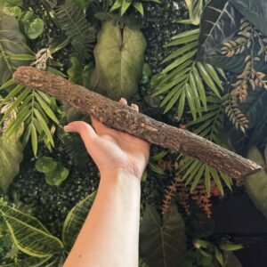 Natural Cork Bark Branches & Climbing Wood for Reptiles & Bioactive Vivariums (30–100cm)