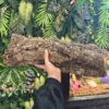 XL Natural Cork Bark Tubes for Reptiles & Bioactive Vivariums (60–90cm)