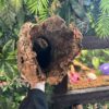 XL Natural Cork Bark Tubes for Reptiles & Bioactive Vivariums (60–90cm)