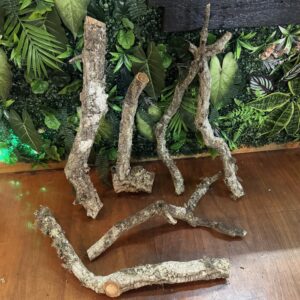 Natural Cork Bark Branches & Climbing Wood for Reptiles & Bioactive Vivariums (30–100cm)