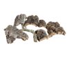 Cork-Bark-Mixed-500g-Packs.jpeg5 NATURAL CORK BARK PIECES – 500G ASSORTED PACK FOR REPTILES, SNAKES, GECKOS, INVERTEBRATES & BIOACTIVE VIVARIUMS