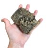 Cork-Bark-Mixed-500g-Packs.jpeg6 NATURAL CORK BARK PIECES – 500G ASSORTED PACK FOR REPTILES, SNAKES, GECKOS, INVERTEBRATES & BIOACTIVE VIVARIUMS