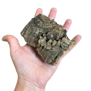 Cork-Bark-Mixed-500g-Packs.jpeg6 NATURAL CORK BARK PIECES – 500G ASSORTED PACK FOR REPTILES, SNAKES, GECKOS, INVERTEBRATES & BIOACTIVE VIVARIUMS