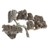 Cork-Bark-Mixed-500g-Packs.jpeg7 NATURAL CORK BARK PIECES – 500G ASSORTED PACK FOR REPTILES, SNAKES, GECKOS, INVERTEBRATES & BIOACTIVE VIVARIUMS