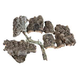 Cork-Bark-Mixed-500g-Packs.jpeg7 NATURAL CORK BARK PIECES – 500G ASSORTED PACK FOR REPTILES, SNAKES, GECKOS, INVERTEBRATES & BIOACTIVE VIVARIUMS