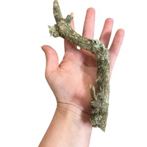 Cork-Bark-Mixed-500g-Packs.jpeg8 NATURAL CORK BARK PIECES – 500G ASSORTED PACK FOR REPTILES, SNAKES, GECKOS, INVERTEBRATES & BIOACTIVE VIVARIUMS